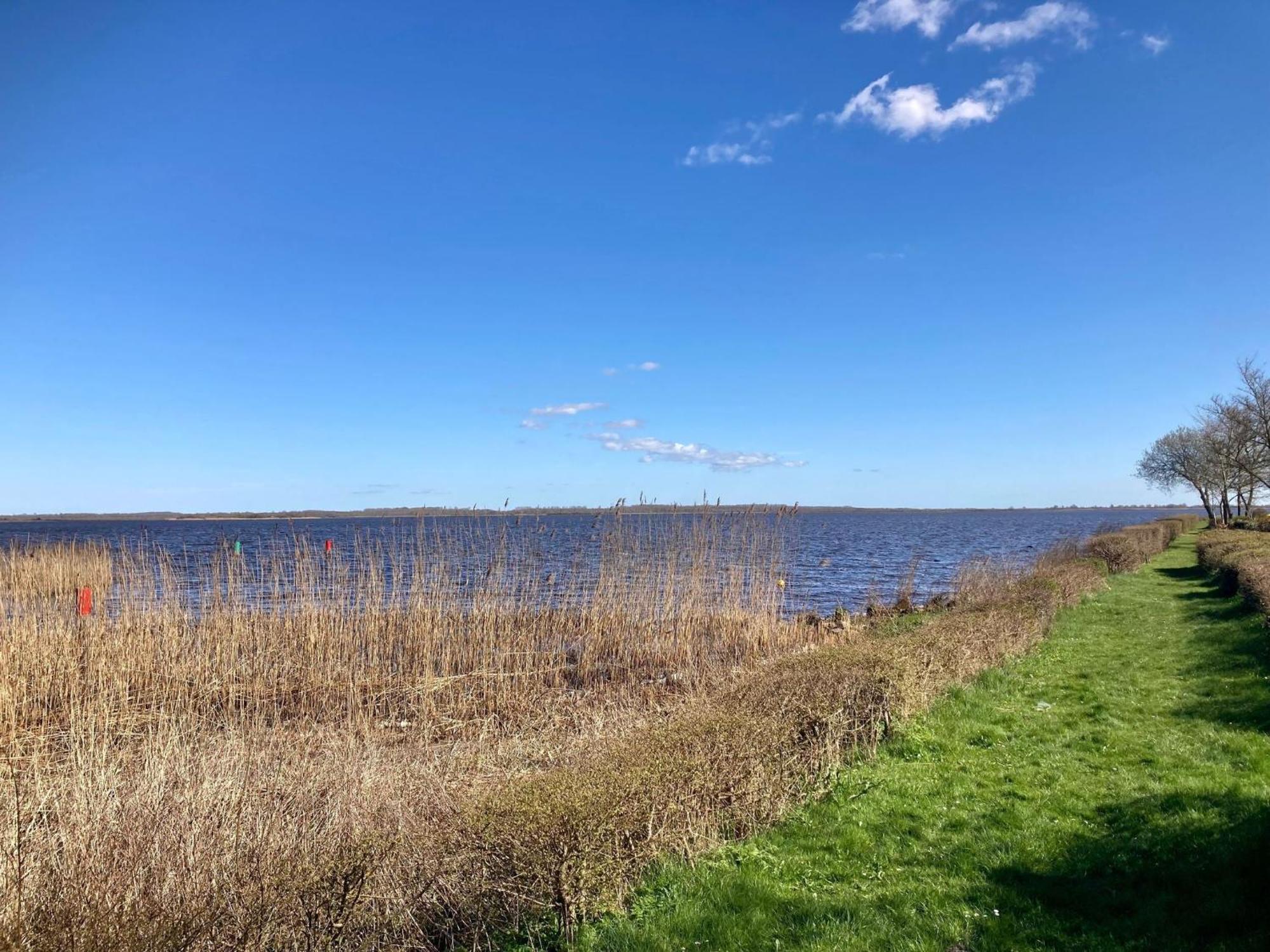 House Marijke With Winter Garden And Direct Access To The Lauwersmeer Anjum エクステリア 写真